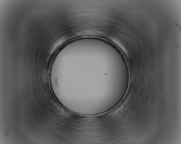X0000091961067200709061055