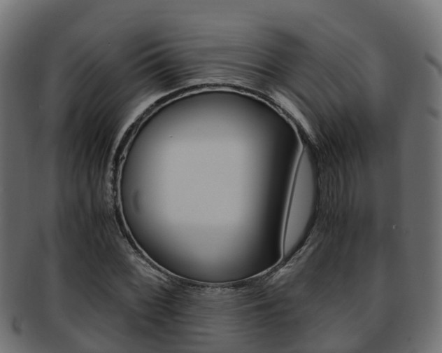 X0000091961068200709061055