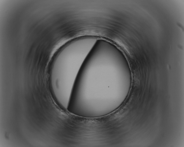 X0000091961070200709061055