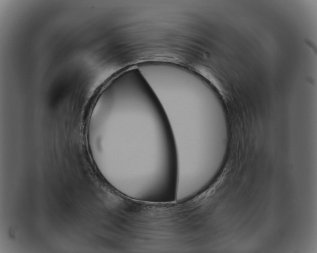 X0000091961071200709061055