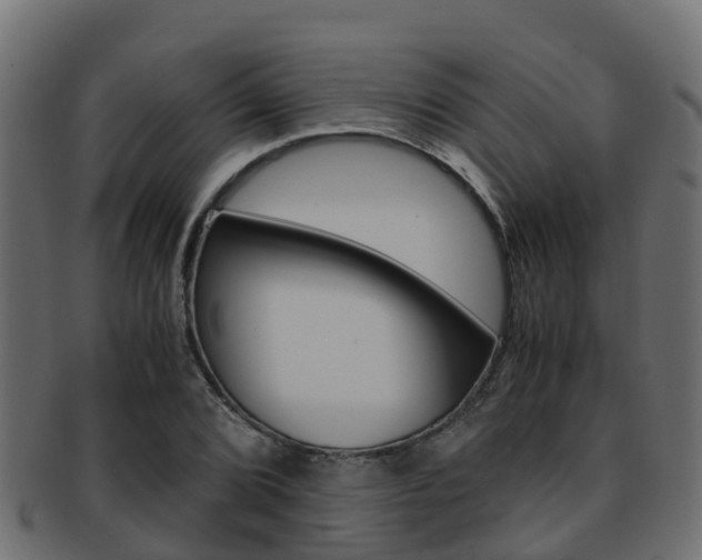 X0000091961072200709061055