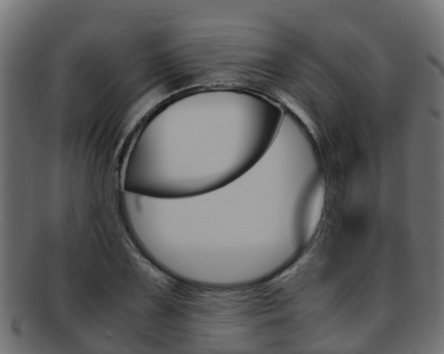 X0000091961075200709061055