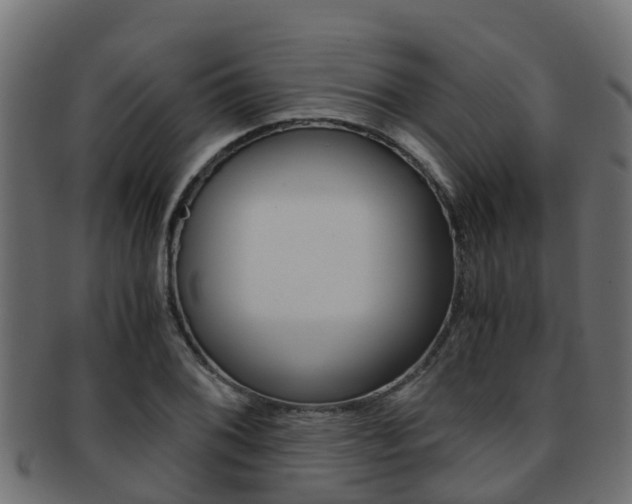 X0000091961076200709061055
