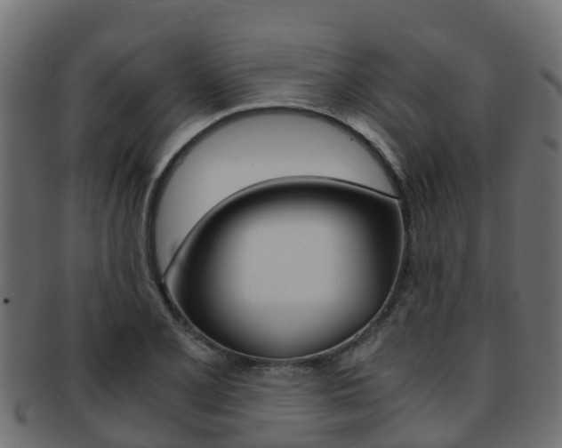 X0000091961077200709061055