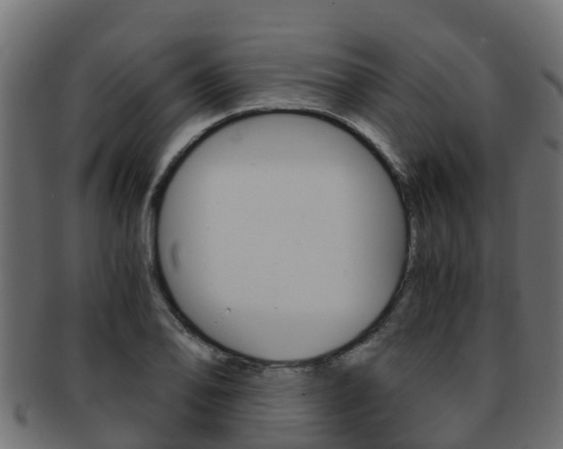 X0000091961078200709061055