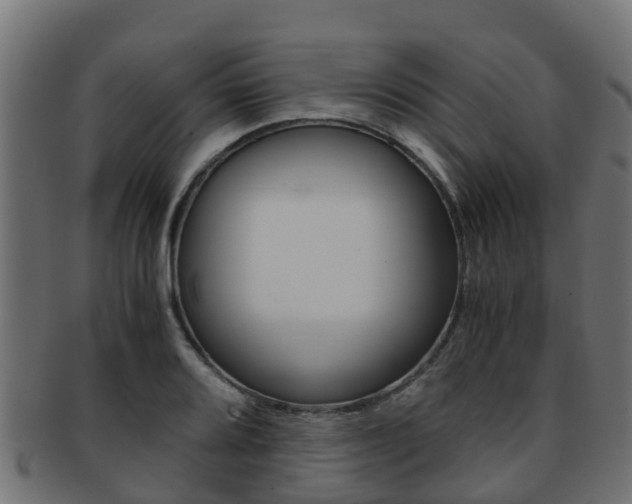 X0000091961080200709061055