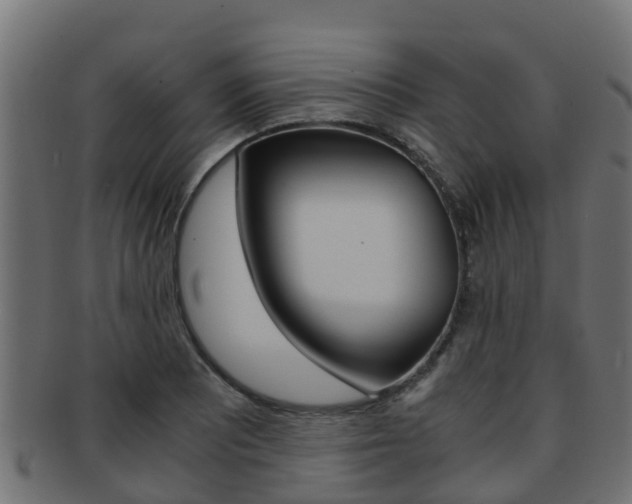 X0000091961081200709061055