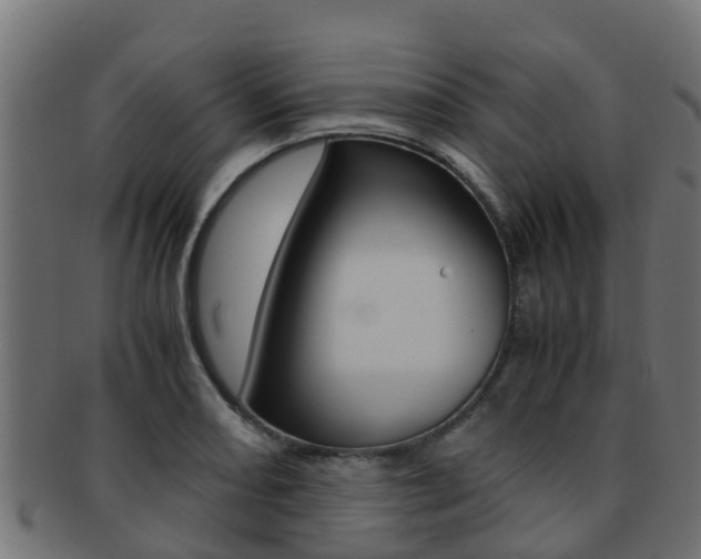 X0000091961082200709061055