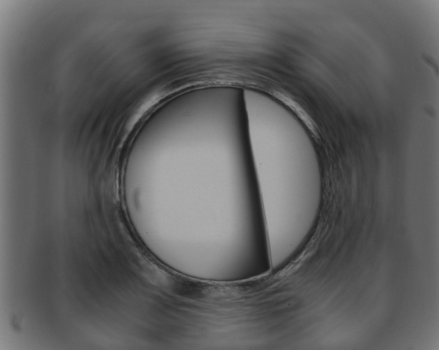X0000091961083200709061055
