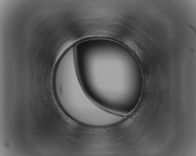 X0000091961085200709061055