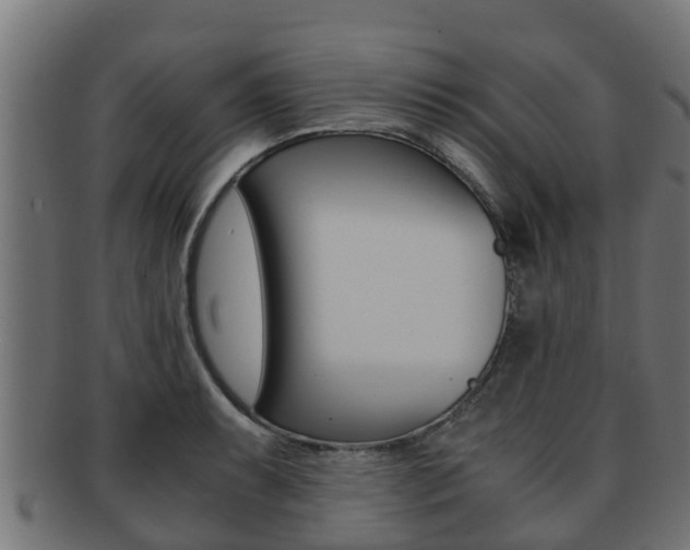X0000091961087200709061055
