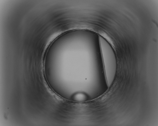 X0000091961088200709061055