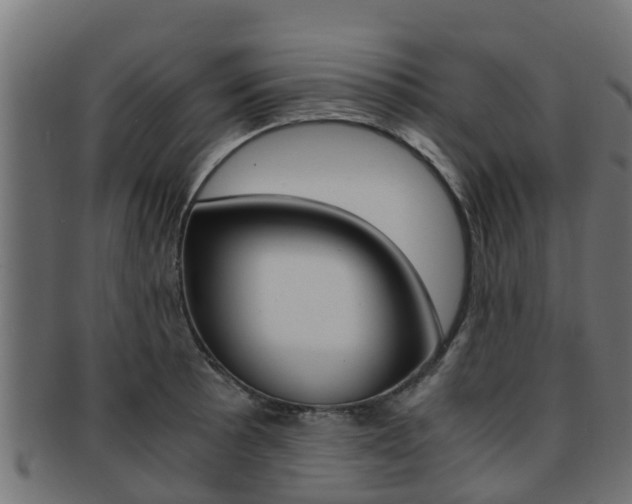 X0000091961089200709061055