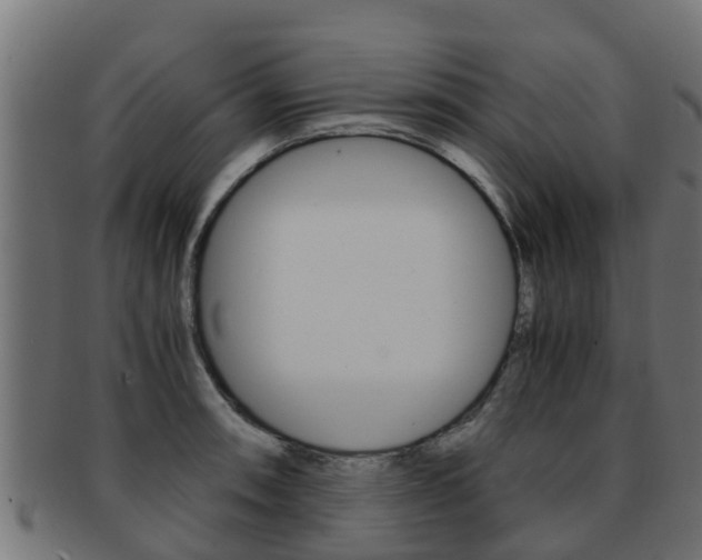 X0000091961090200709061055