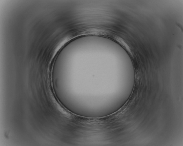X0000091961091200709061055