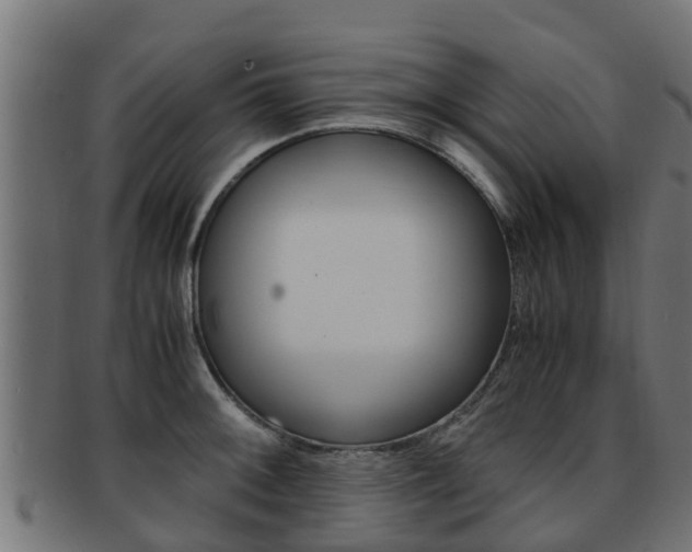 X0000091961092200709061055
