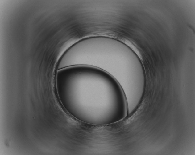 X0000091961093200709061055