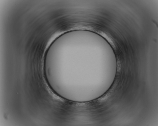X0000091961094200709061055