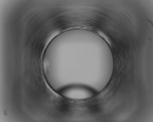 X0000091961095200709061055