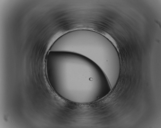 X0000091961096200709061055