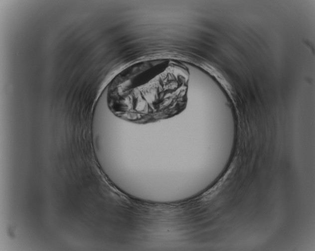 X0000091961097200709061055