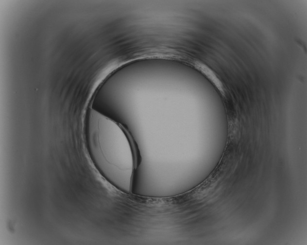 X0000091961099200709061055