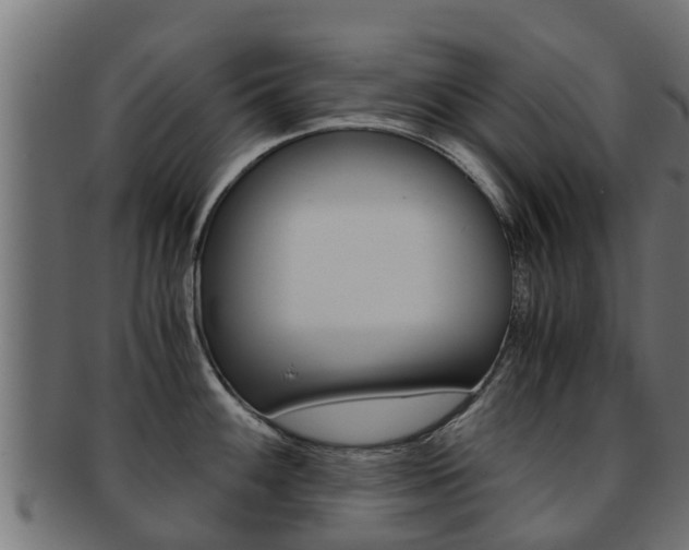 X0000091961100200709061055