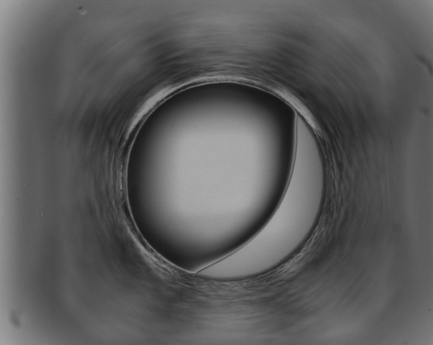 X0000091961101200709061055