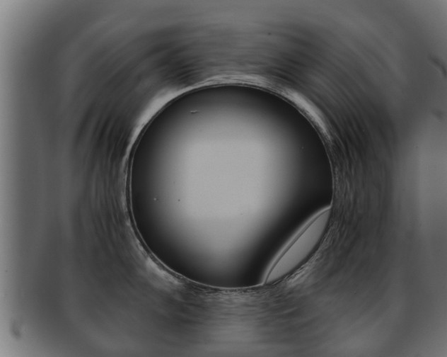 X0000091961102200709061055