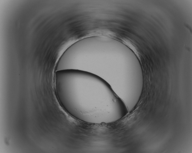 X0000091961103200709061055