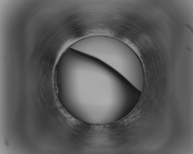 X0000091961104200709061055