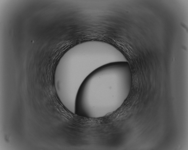 X0000091961105200709061054