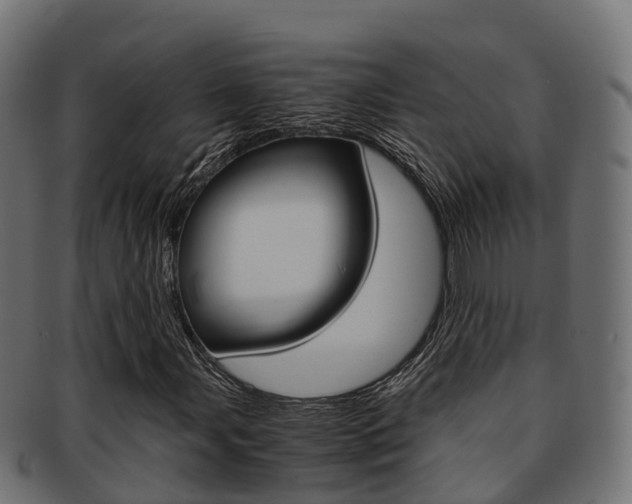 X0000091961107200709061054
