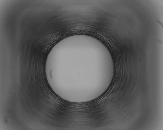X0000091961108200709061054