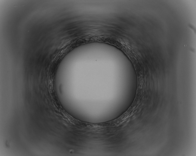 X0000091961109200709061054