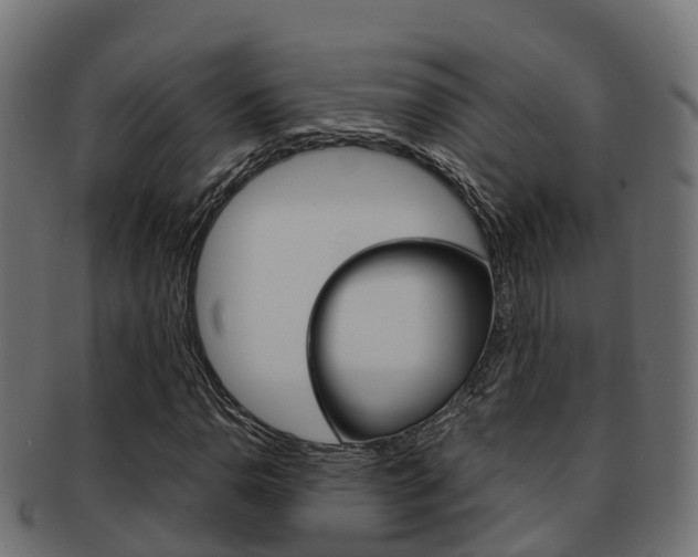 X0000091961110200709061054