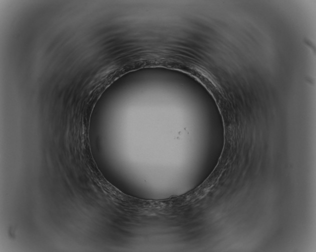 X0000091961111200709061054