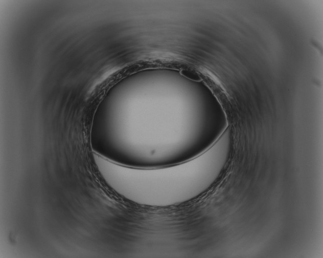 X0000091961112200709061054
