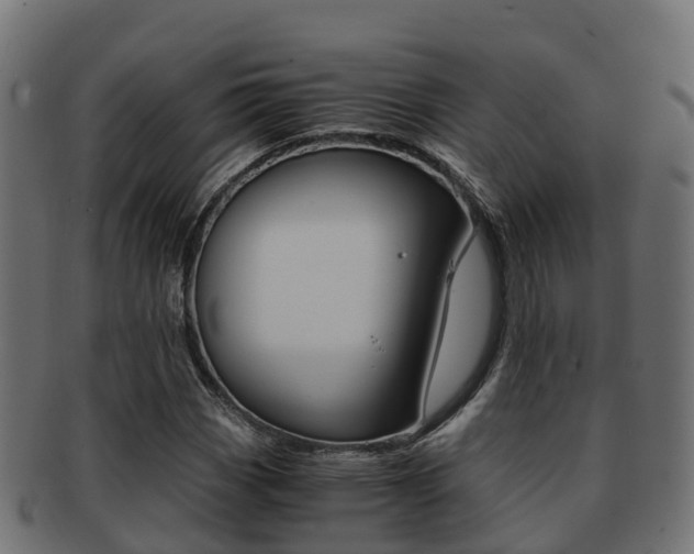 X0000091961113200709061054