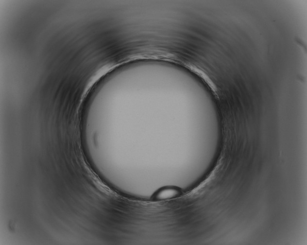 X0000091961114200709061054