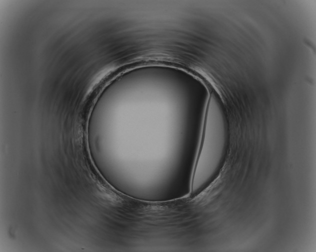 X0000091961115200709061054