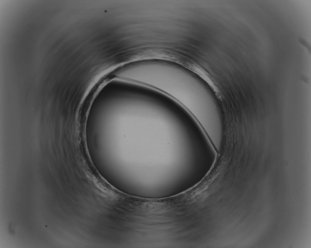X0000091961116200709061054