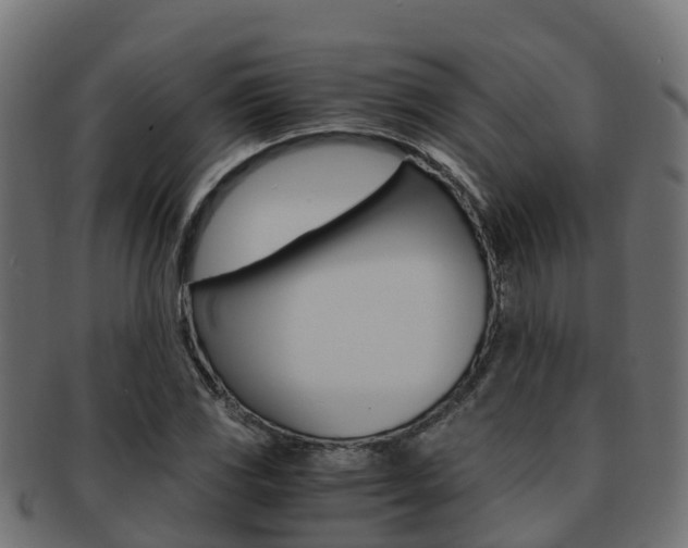 X0000091961117200709061054