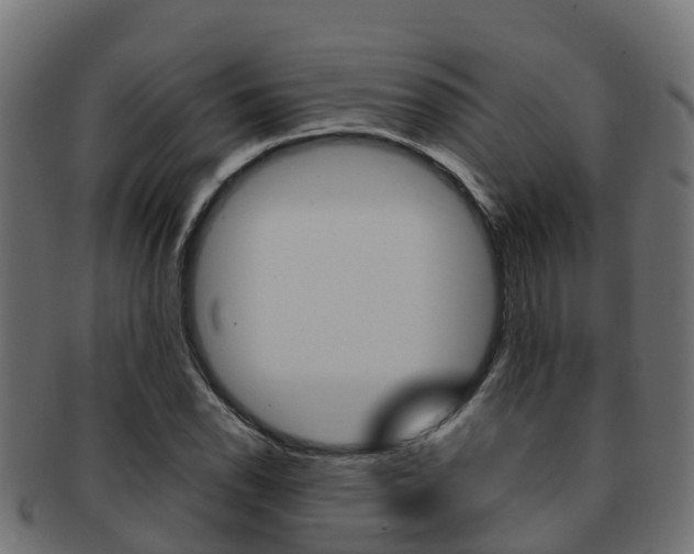 X0000091961118200709061054