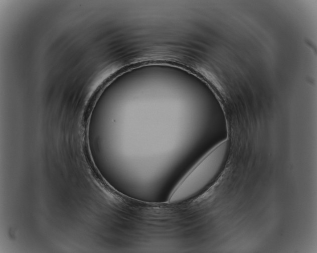 X0000091961119200709061054