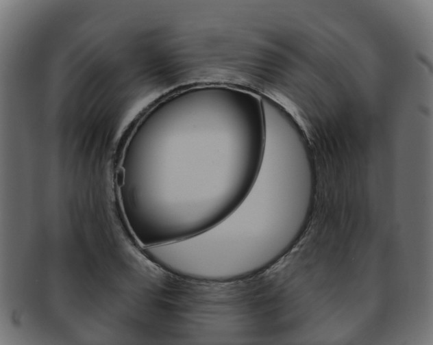 X0000091961120200709061054