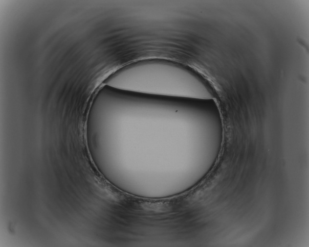 X0000091961121200709061054
