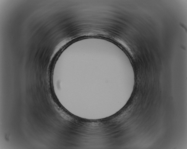 X0000091961122200709061054