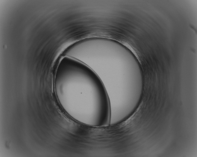X0000091961123200709061054