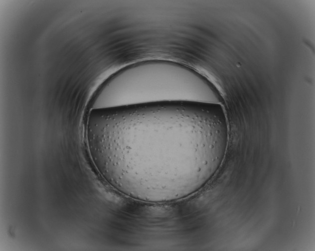 X0000091961125200709061054